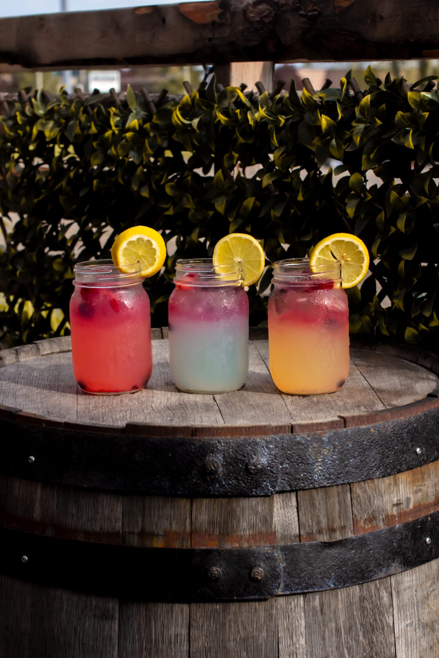 https://ruralrootsbrewery.ca/wp-content/uploads/2025/04/drink4-scaled.jpg