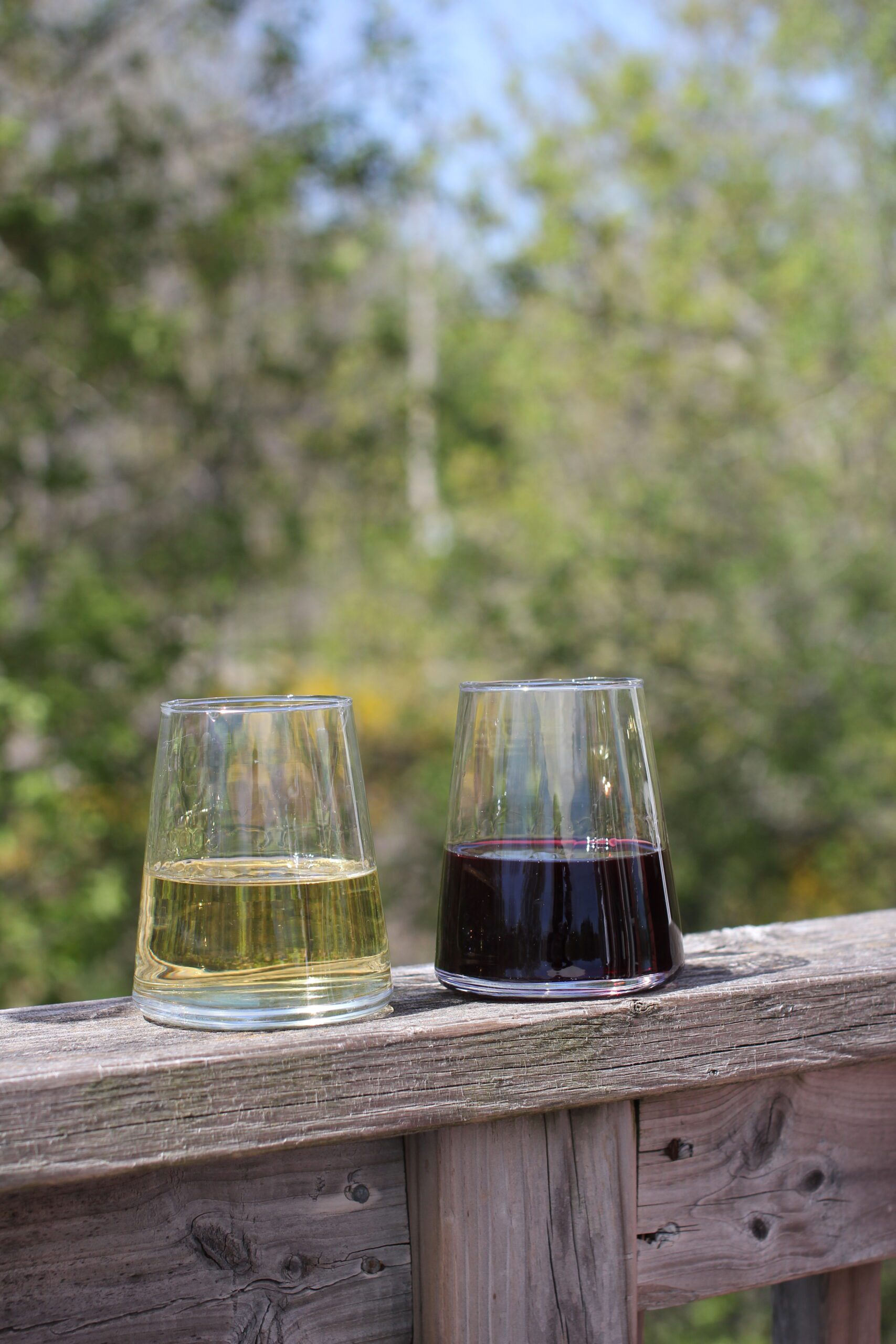 https://ruralrootsbrewery.ca/wp-content/uploads/2025/06/IMG_6463-scaled.jpg